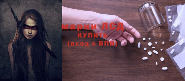 ECSTASY Алзамай