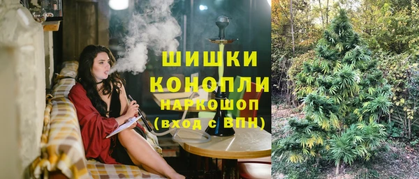 ешки Алексин